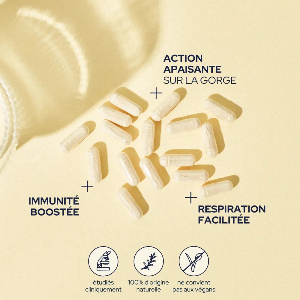 47_dcd677c3-faed-4d79-bf65-d3a57a2e74ae_1400x