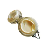 PhotoRoom-20230912_184453_resized_20230925_090258240