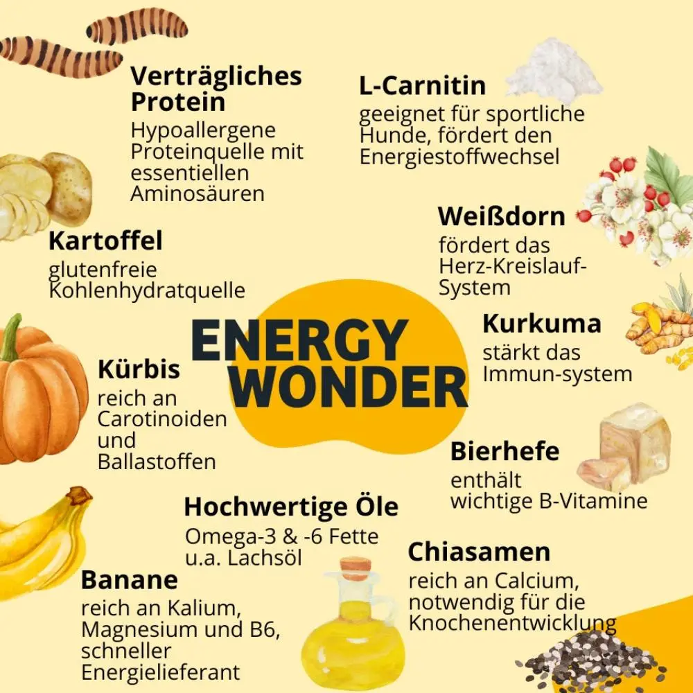 Zutaten_Trockenfutter_EnergyWonder_1000x