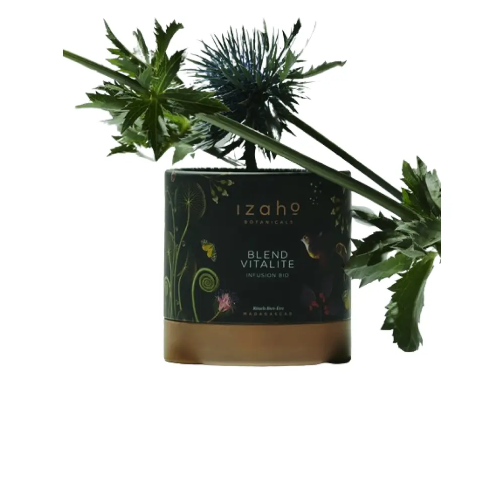 Blend-Vitalite-removebg-preview