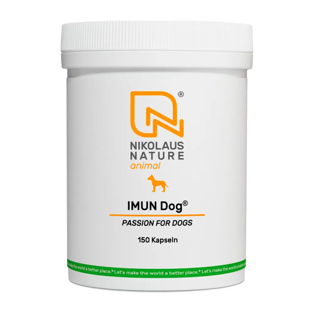 NN_animal_imun-dog-150k-1678199369-bild-1000-1704361751-bild-2000