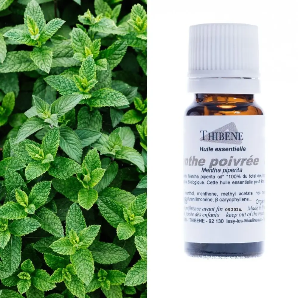 menthe-poivree