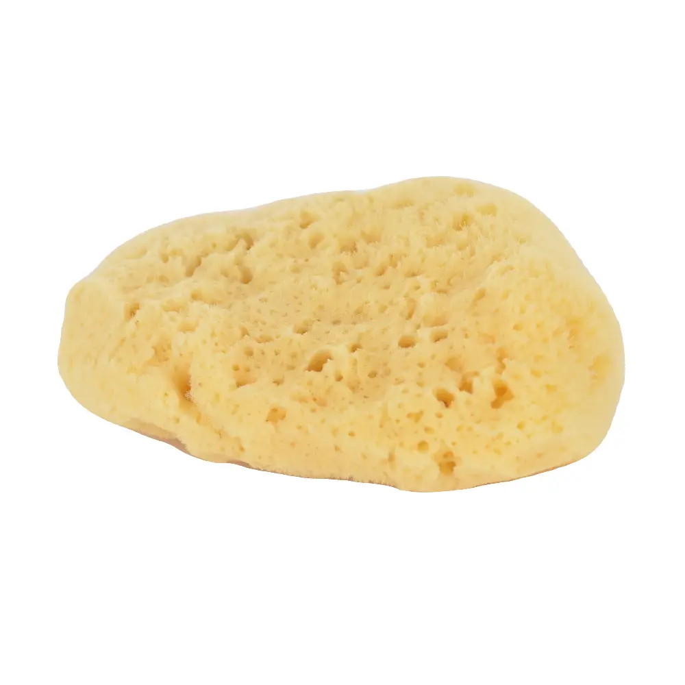 DSC_0639-3760061228597