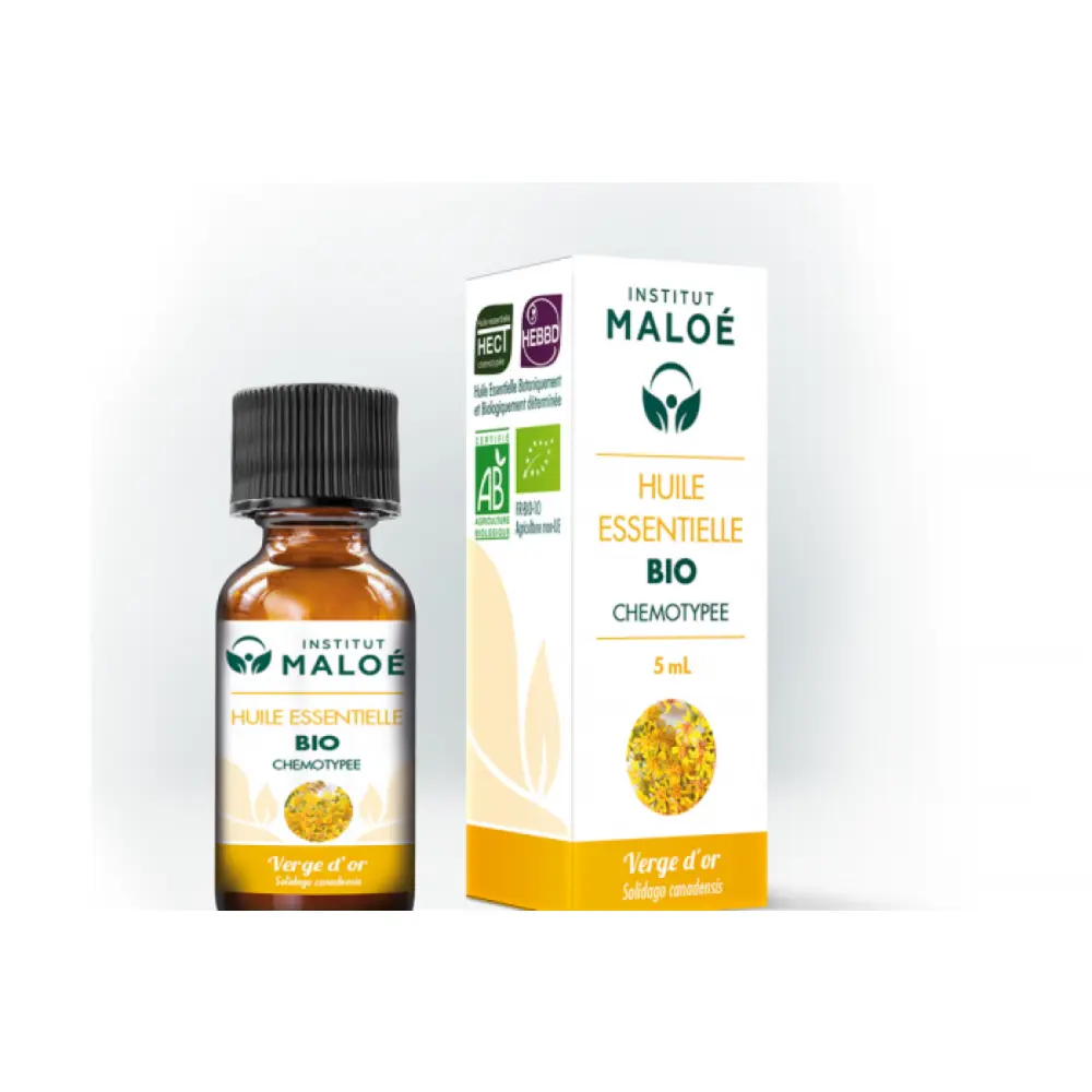 maloe-he-verge-or-5ml-fr-1base