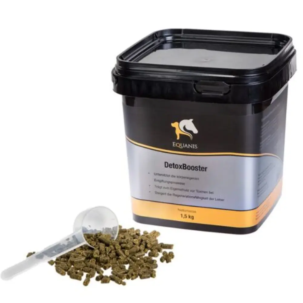 Design-ohne-Titel-9-510x510