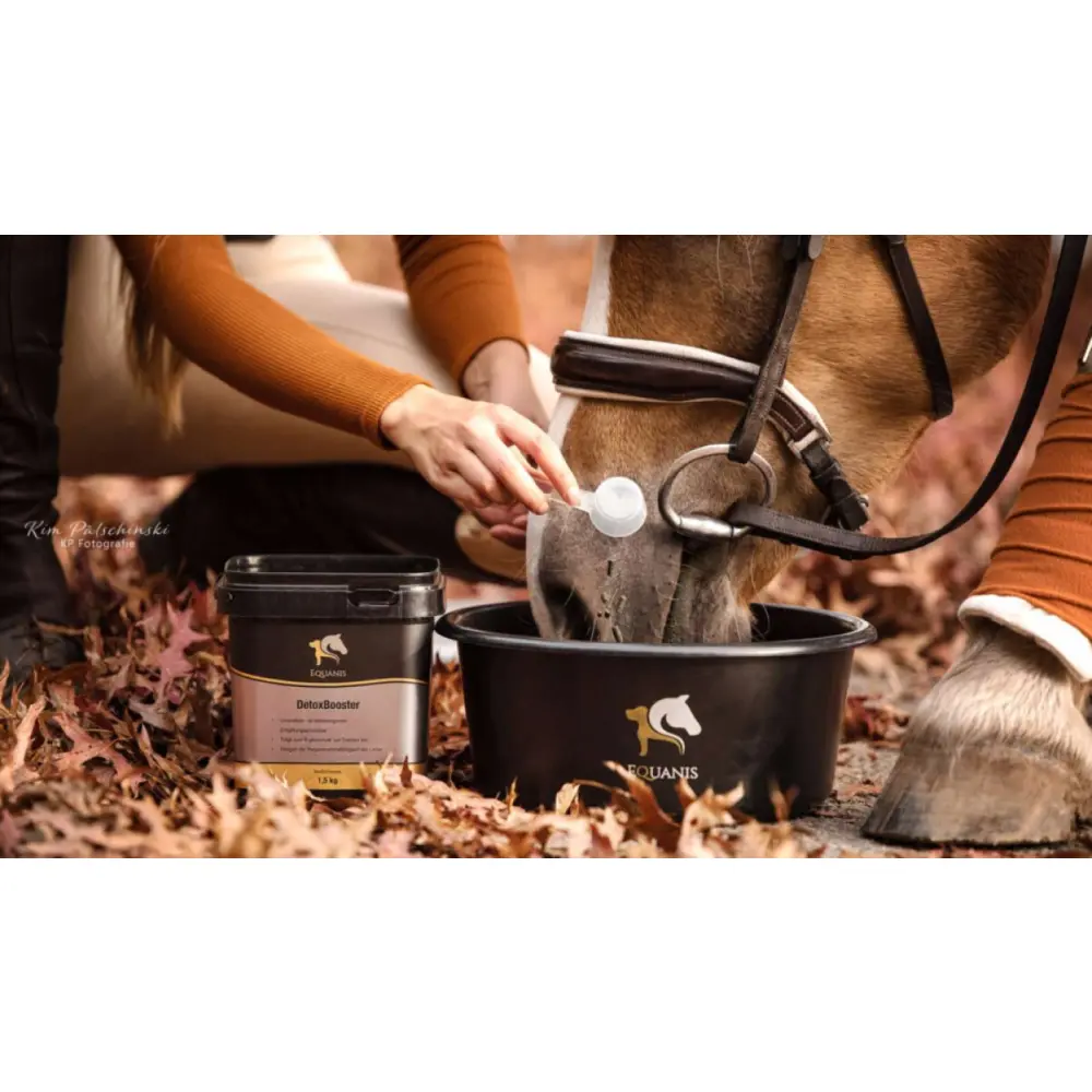 Design-ohne-Titel-28