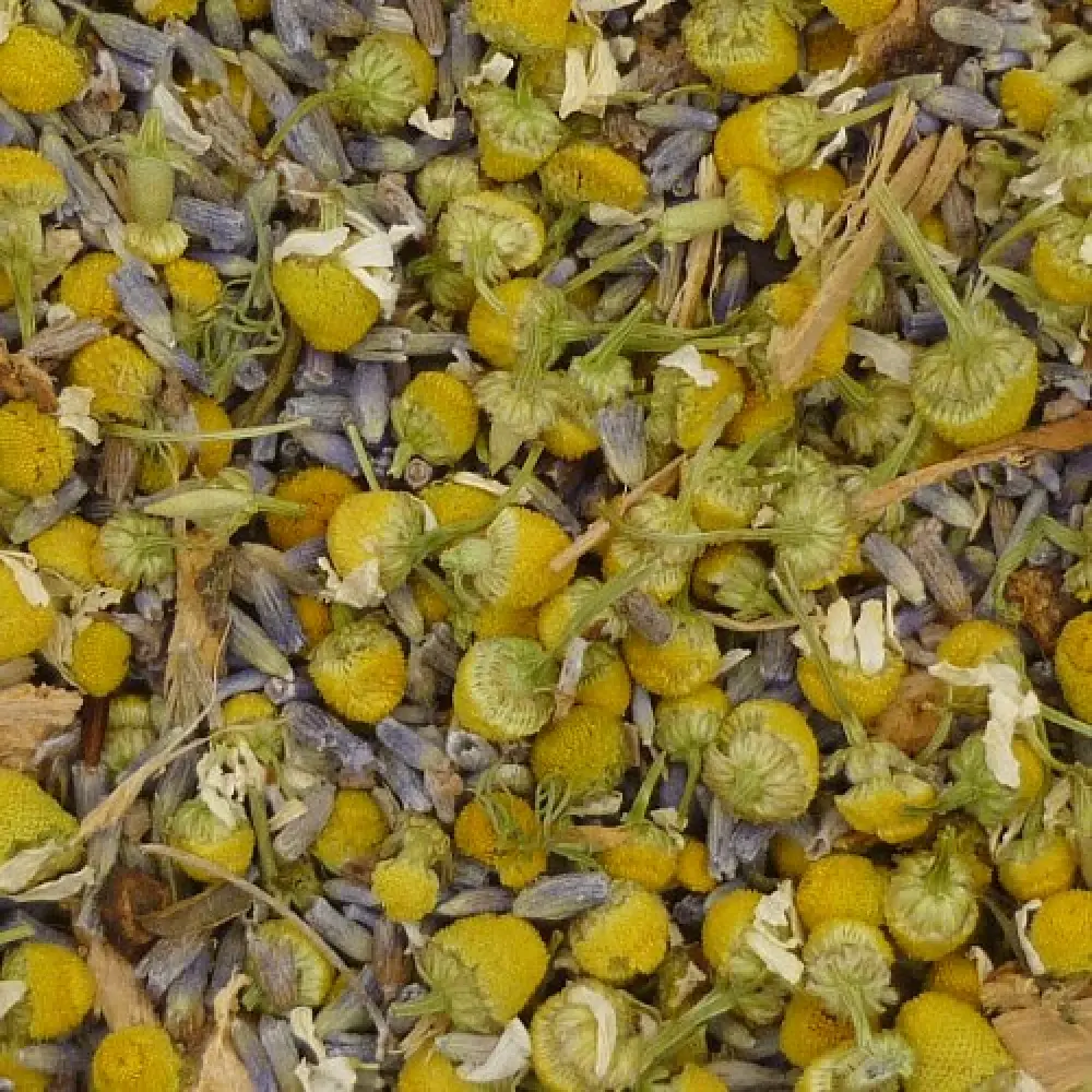 Fleurs-du-sommeil_Zoom