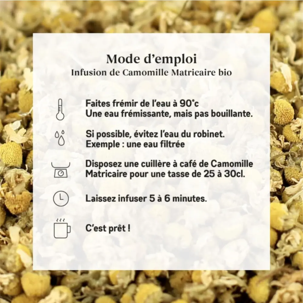 CamomilleMatricaire_4