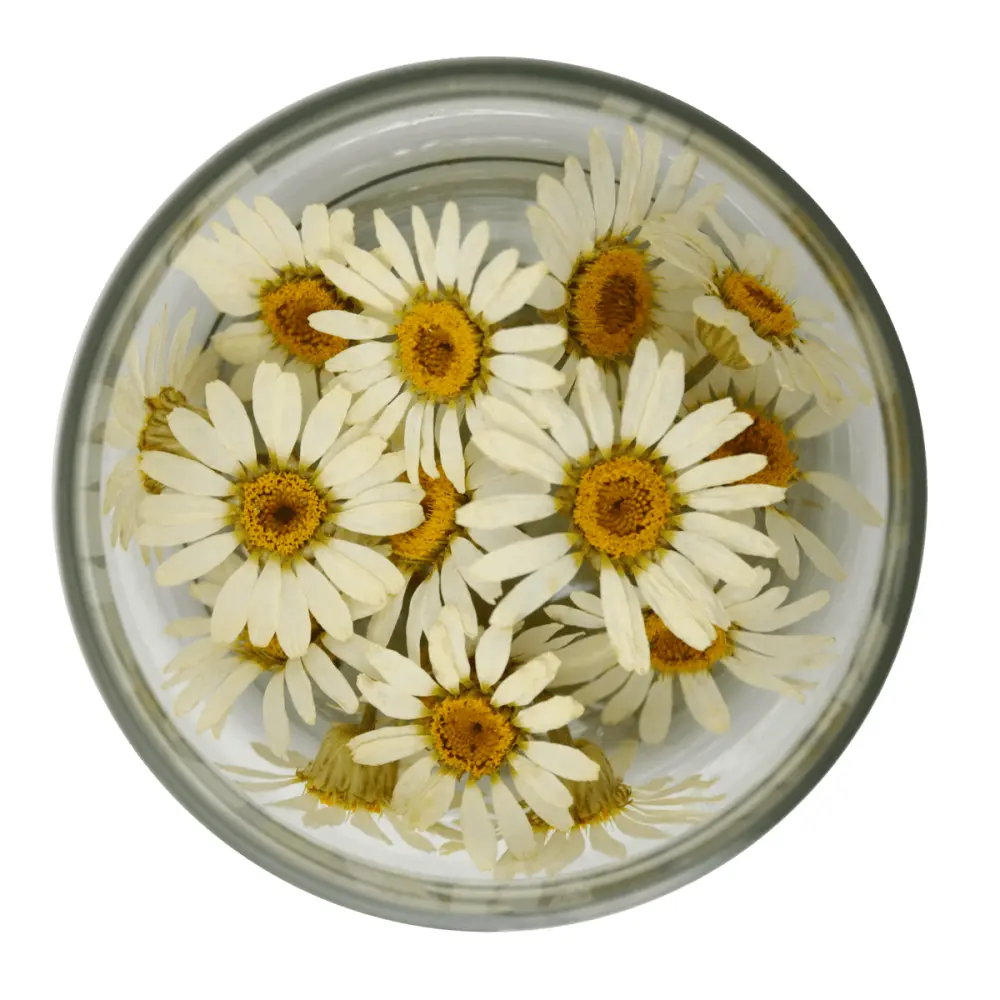 Gaensebluemchen_Tiegel