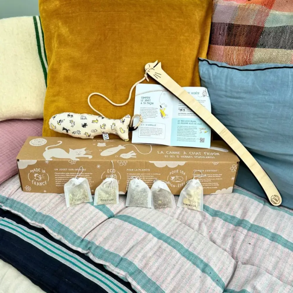 le-pack-canne-a-peche-chat-fripon