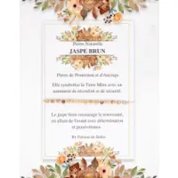 Bracelet-Jaspe-Brun-cordon-