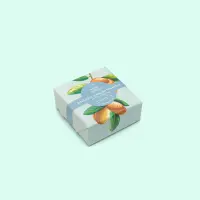 Shampoo-Bar-Oily_1