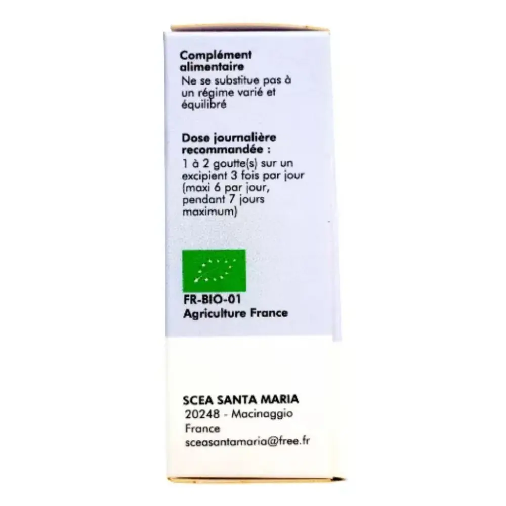 White BG 1500x1500 - 2025-03-21T120056.603