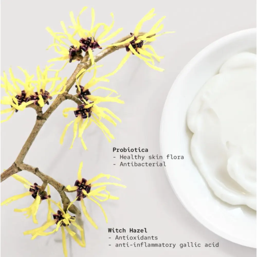 Screenshot 2023-12-11 at 11.07.29