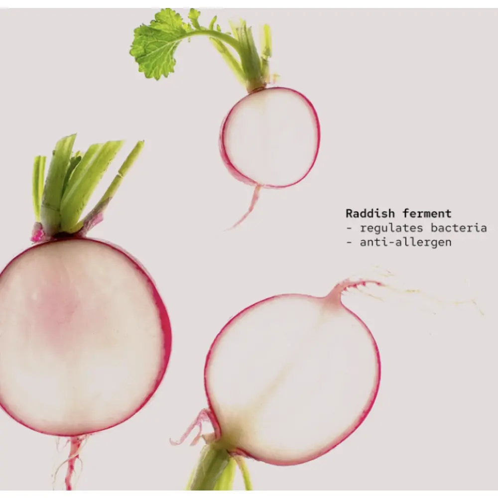 Screenshot 2023-12-11 at 11.07.55