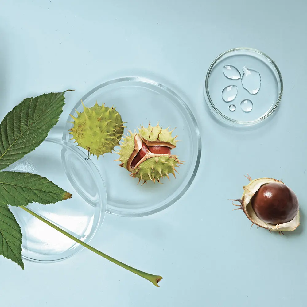 mise-en-scene-marron