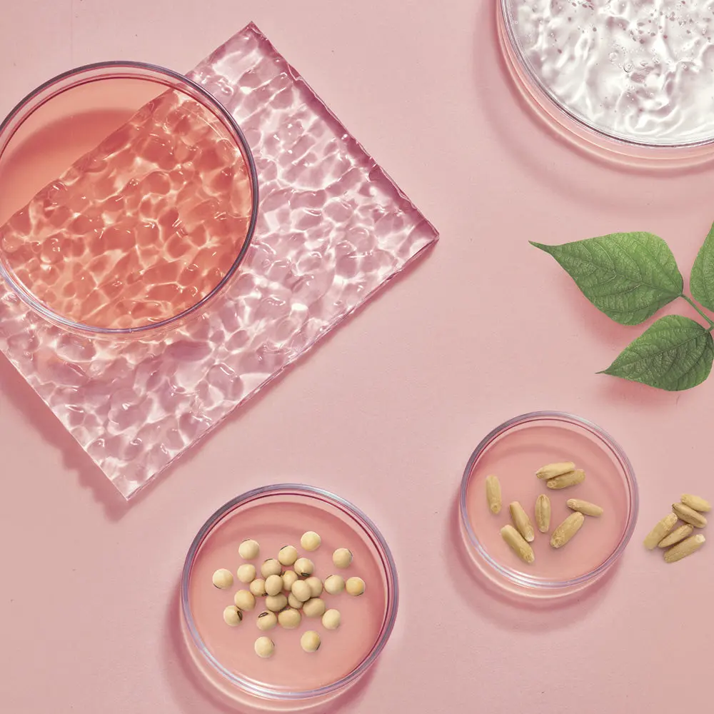 mise-en-scene-keratine-vegetal