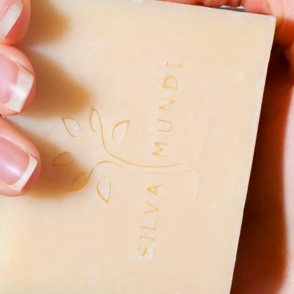 SILVA VITA RETOUCHE (1)