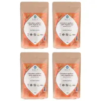 Coloration végétale bio - Cuivré moyen - Lot de 4