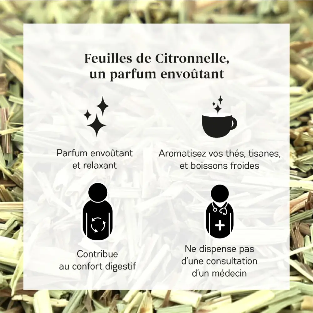 Citronnelle_3