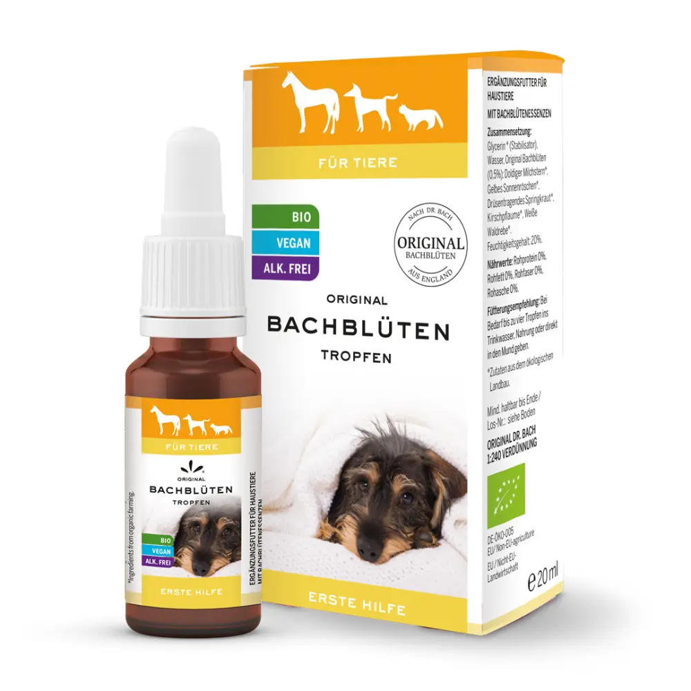 Pets_DropsBox_DE_Help_bed46671-e59b-498b-a1ef-4a5f5f4b31fe