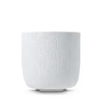 Millet_231205002_01__85833