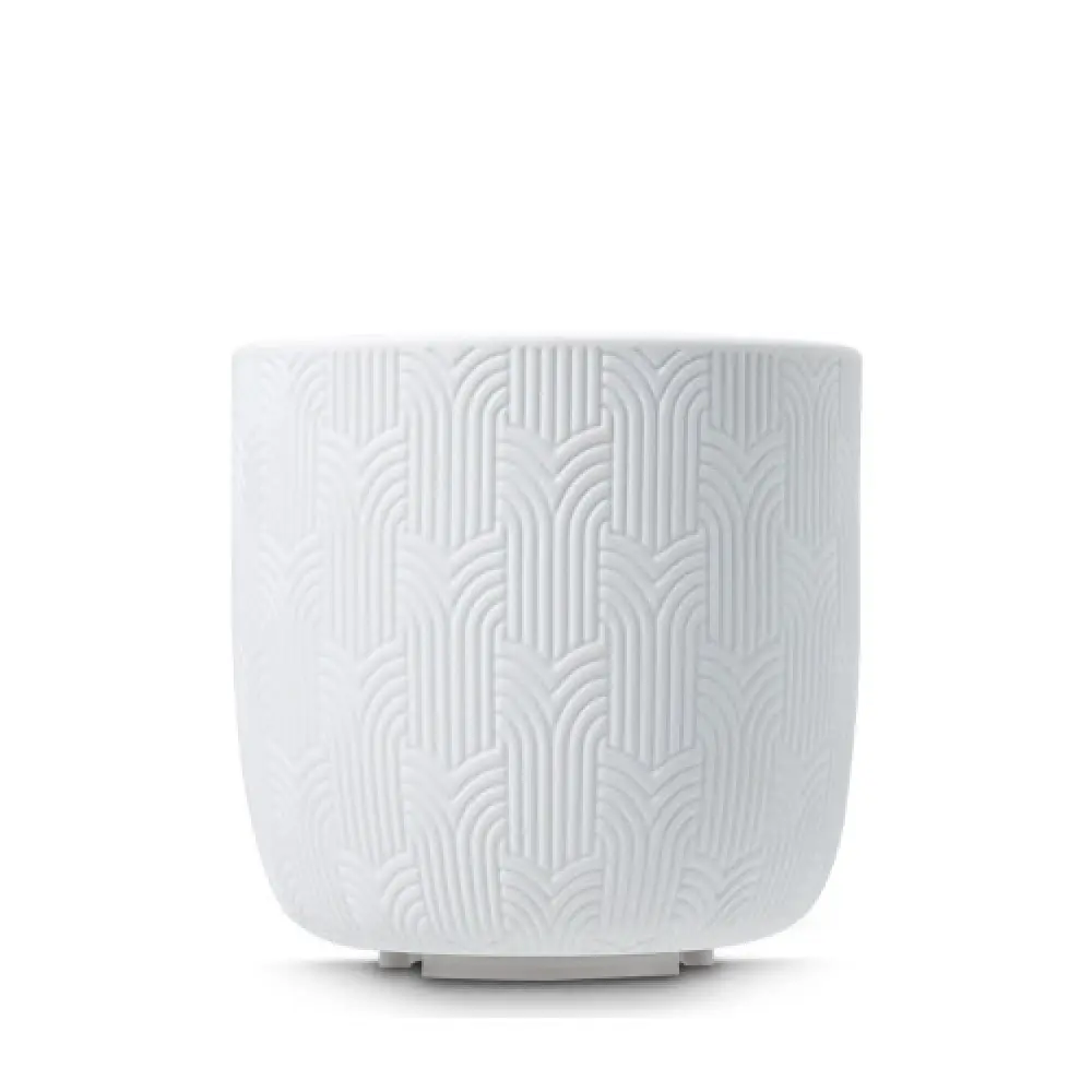 Millet_231205002_01__85833