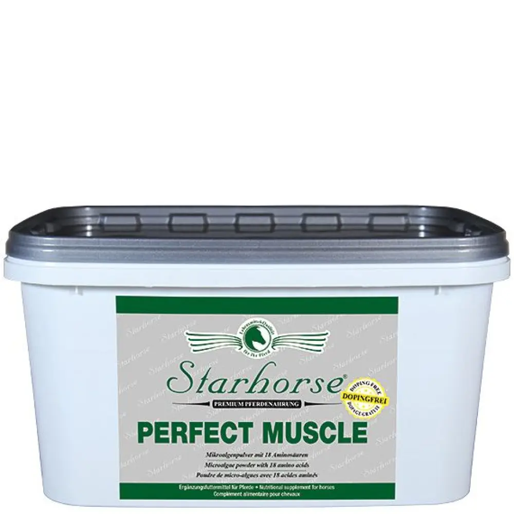 perfect-muscle_3000_1