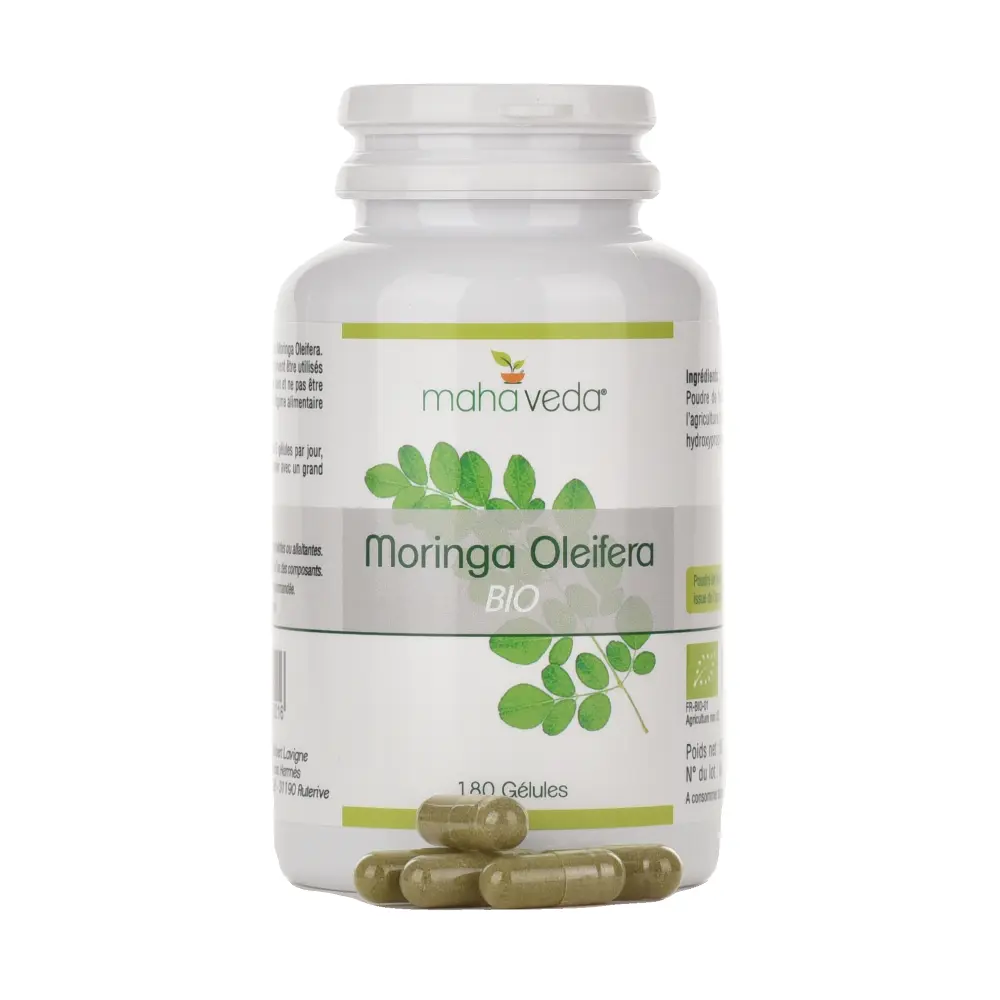 DSC_2448-3760235030216