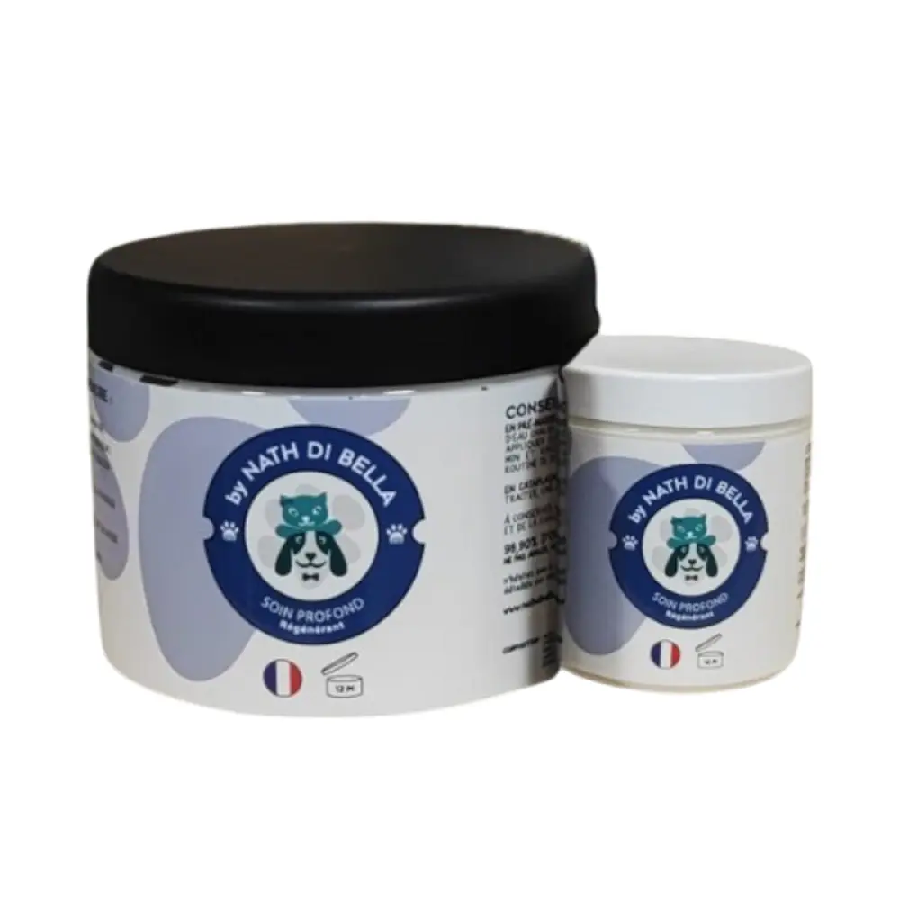 Design-sans-titre-e1737463799658