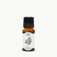 Essential-Oil-Ravintsara