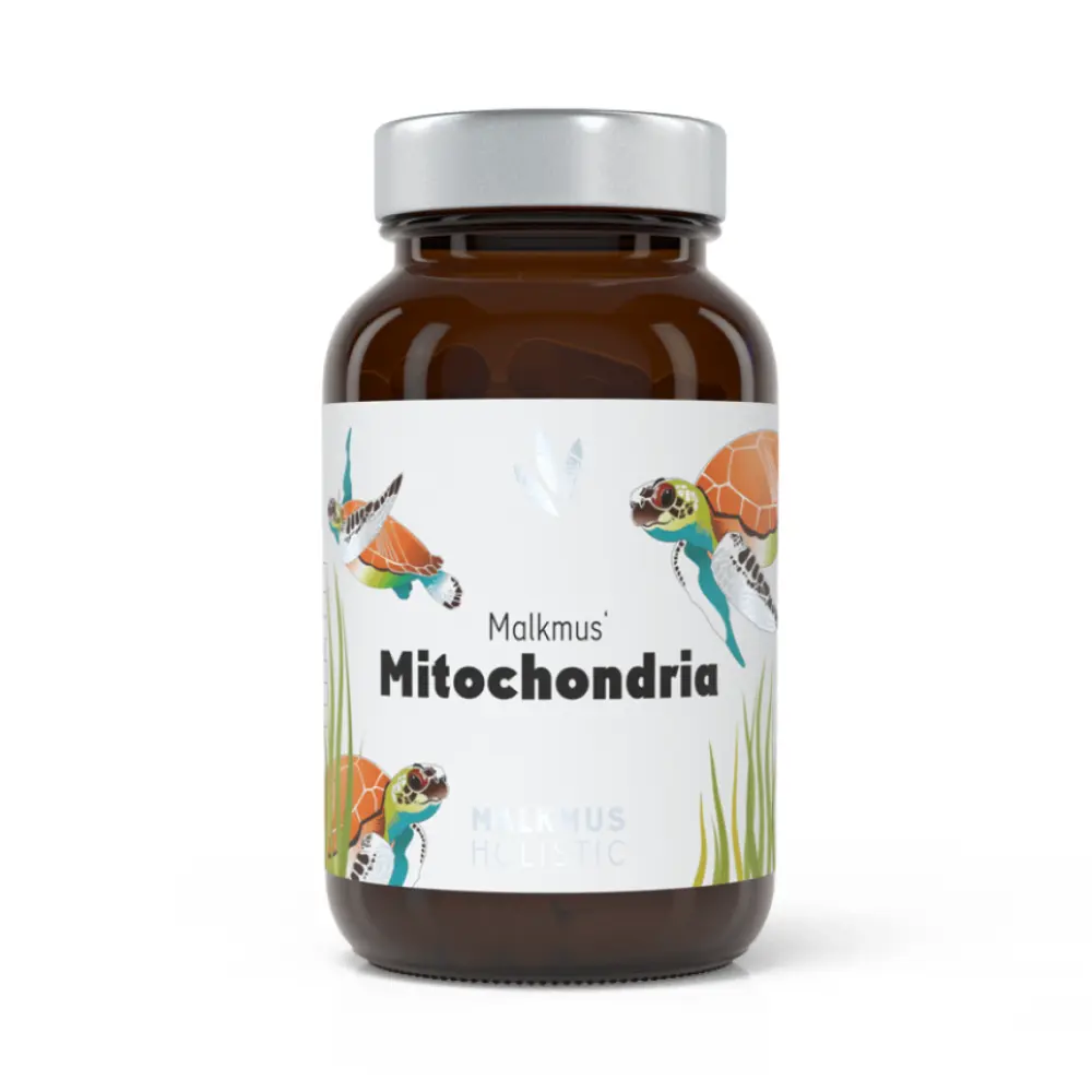 mitochondria-maximale-energiegewinnung-fur-mehr-power-im-alltag-304559