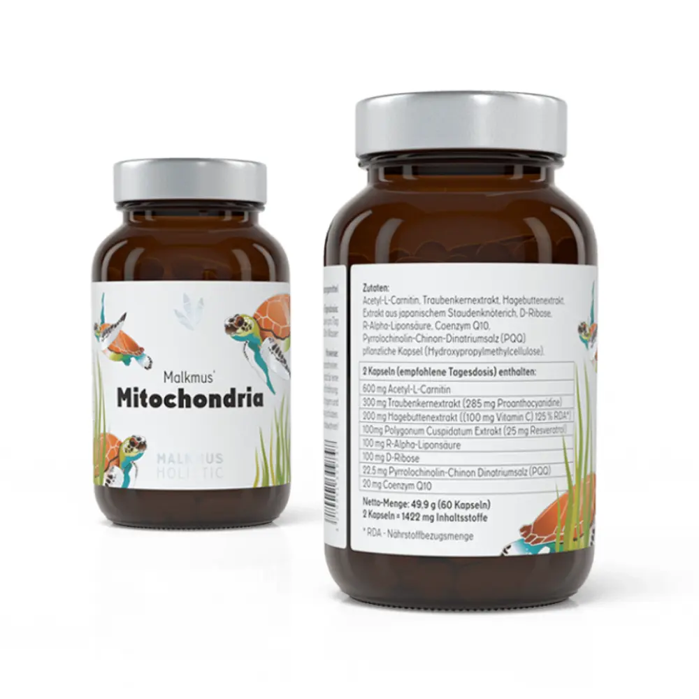 mitochondria-maximale-energiegewinnung-fur-mehr-power-im-alltag-393273