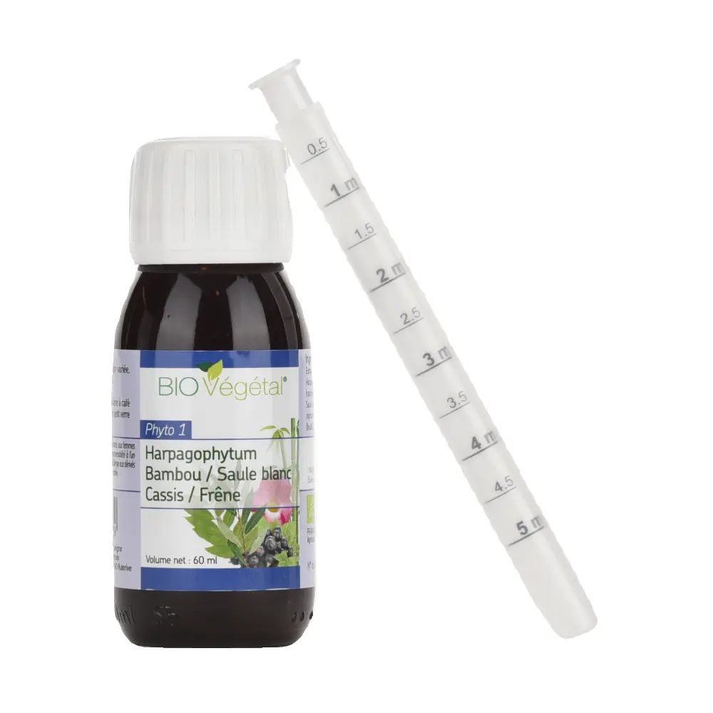 DSC_2509-3760235030339