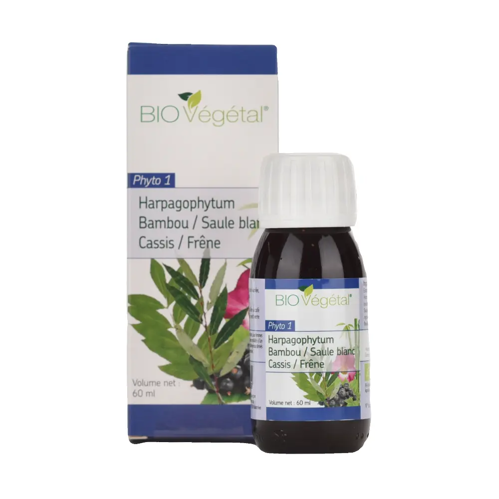 DSC_2508-3760235030339