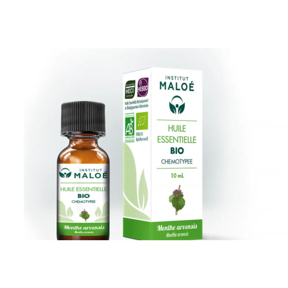maloe-he-menthe-arvensis-10ml-fr-1base