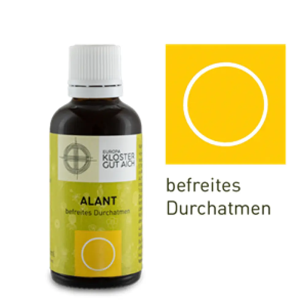 AlantMandala_webshop_m