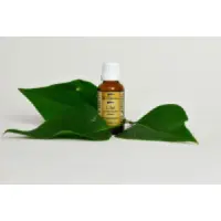 5151332-47e8ea402094e7