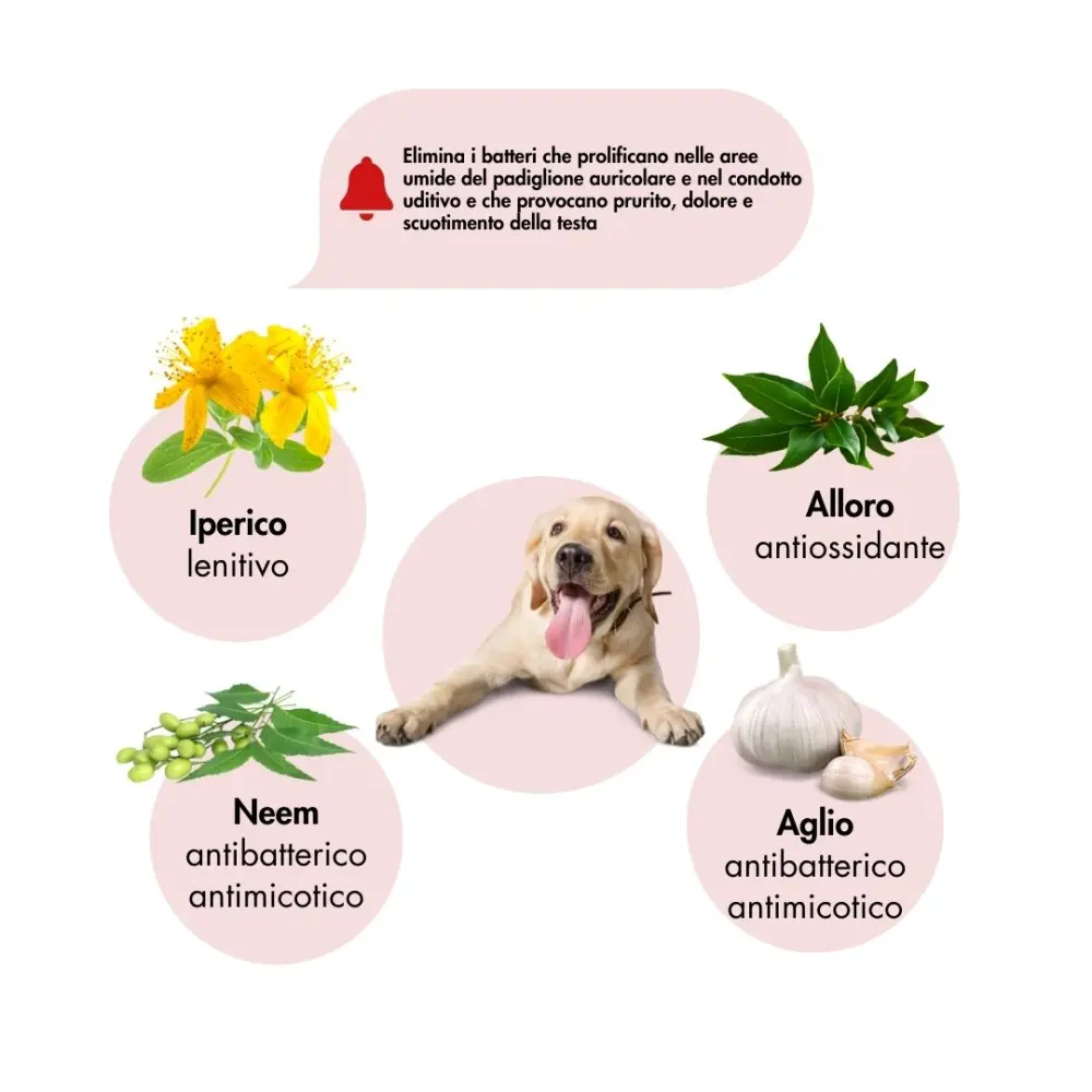 OTOBIOLPETSInfiammazioniBattericheOrecchiedicani_gatti_edituttiglianimali