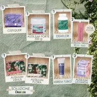 SINDROME GENITO-URINARIA_0