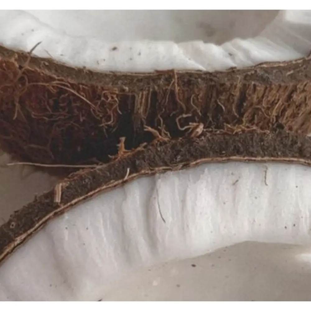 Bildschirmfoto 2024-12-03 um 11.25.23