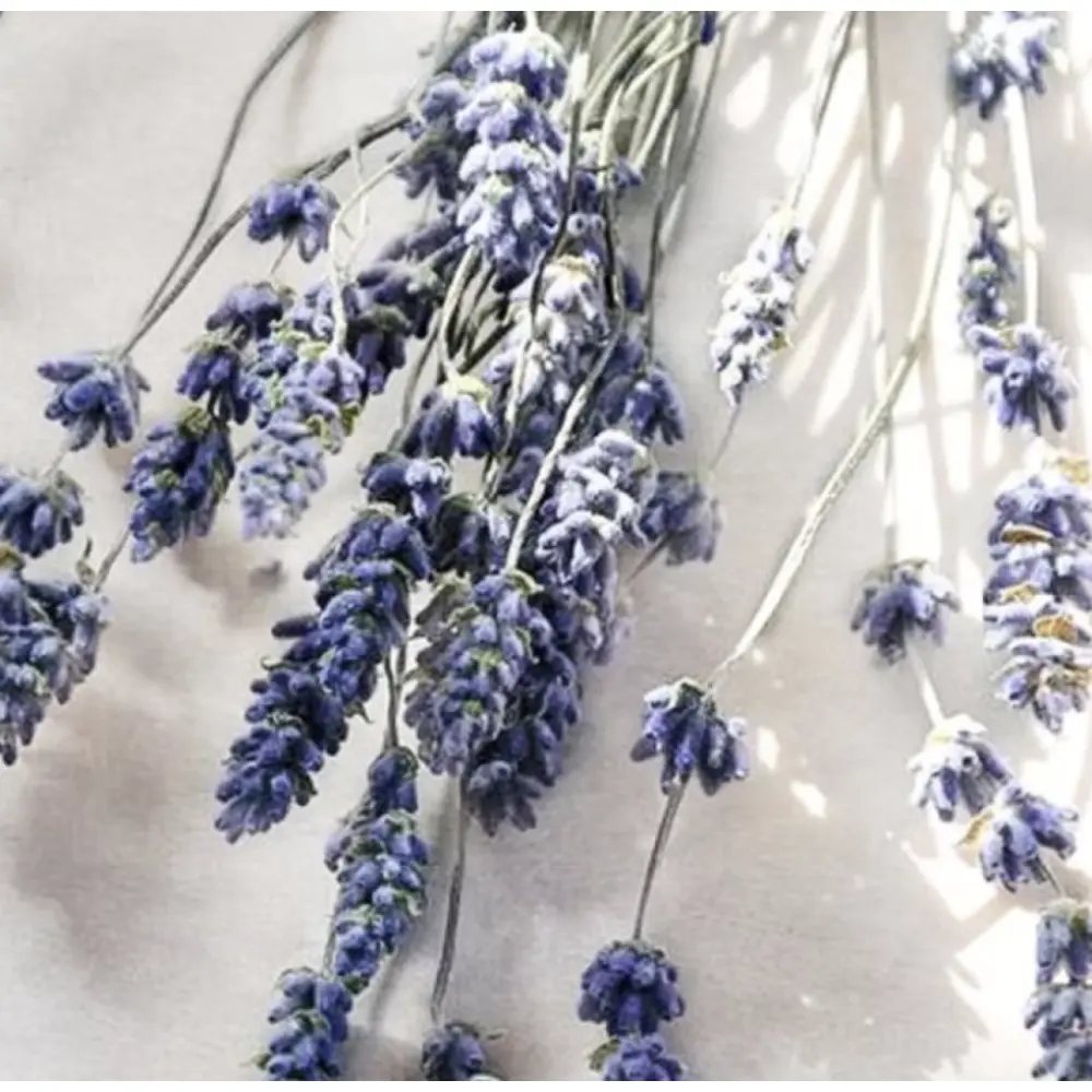 Bildschirmfoto 2024-12-03 um 11.25.18