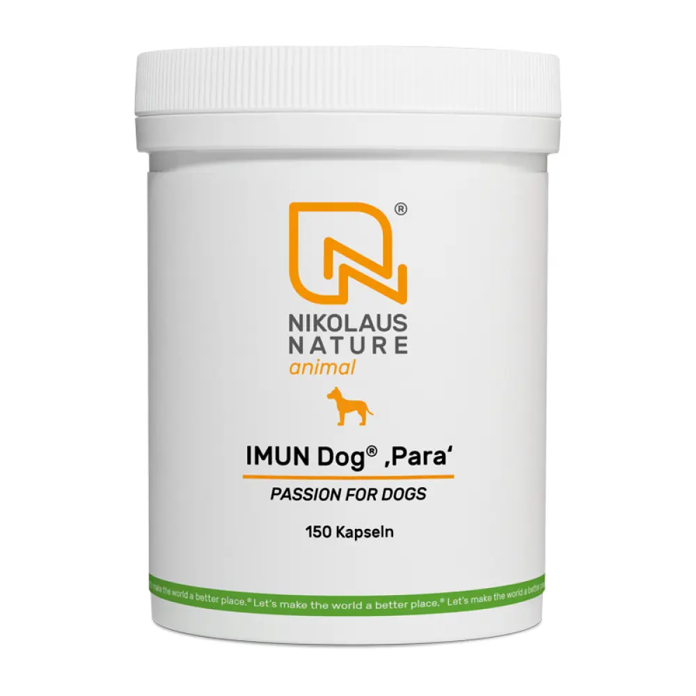NN_animal_imun-dog-para-150k-1678200412-bild-2000