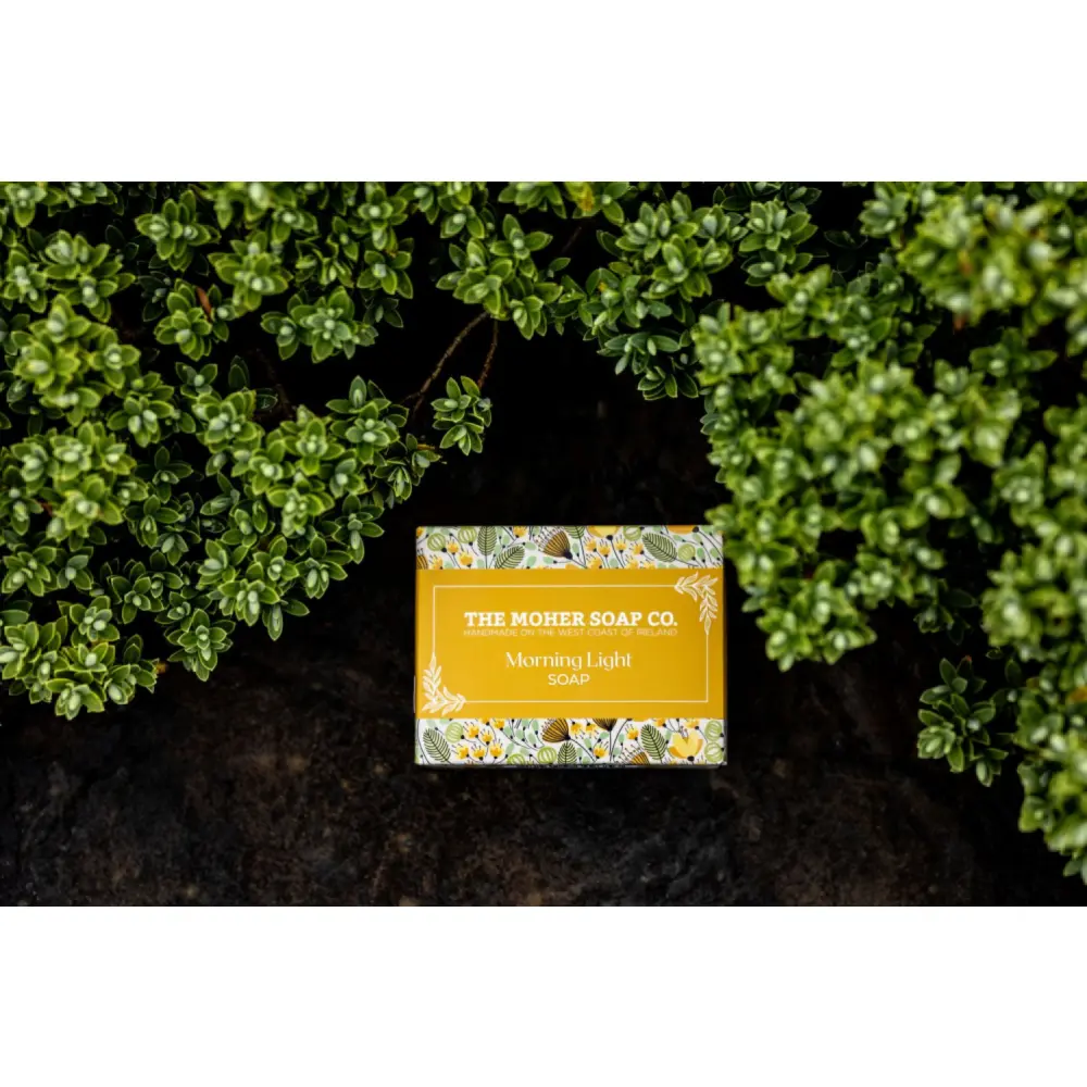 Moher+Soap_Morning+Light+WEB