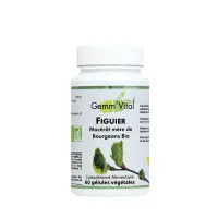 gem_bourgeon_figuier