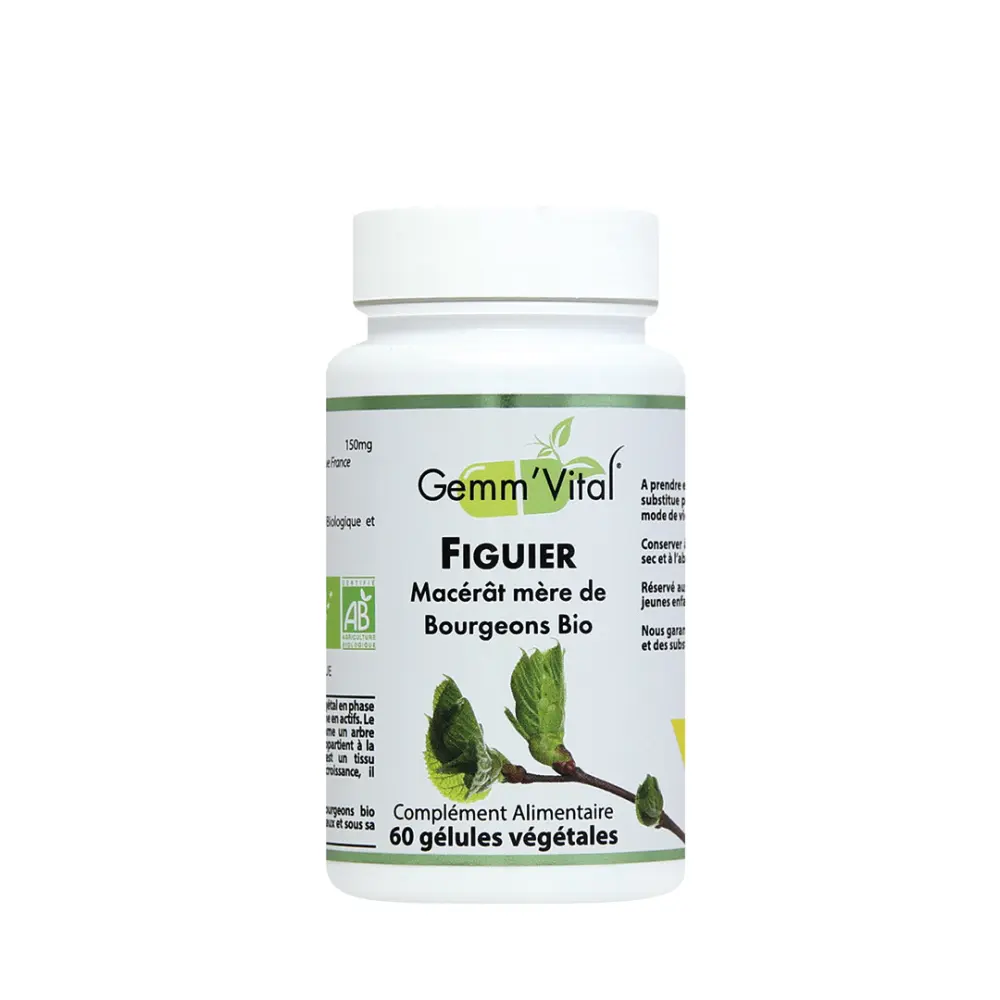gem_bourgeon_figuier