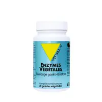 Enzymes_vegetales