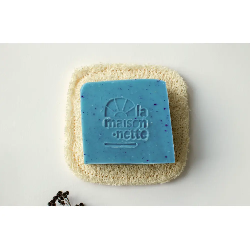 CharlottedeSchutter__13_copie_1