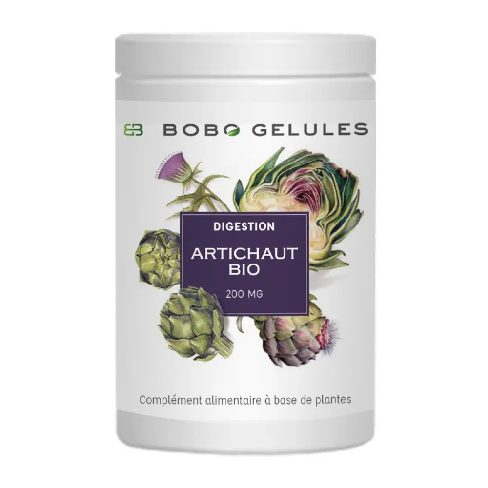 Artischocke Bio Artischocke Bio