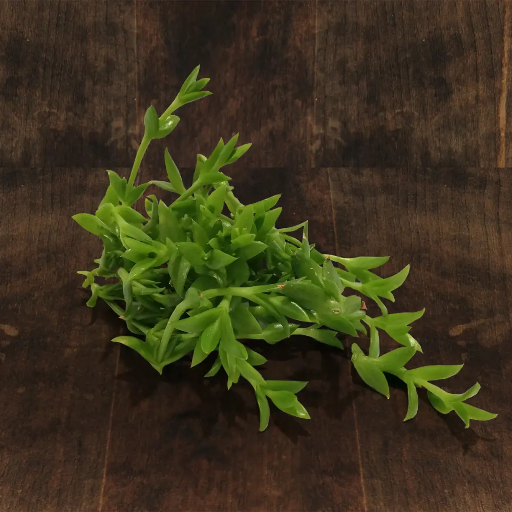 IMG_20211116_102357-1